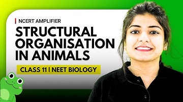 🧬 Structural Organisation In Animals In One Shot | NCERT Amplifier | NEET Biology | Class 11 Biology