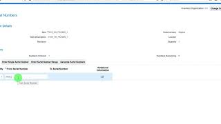 Serial Number Generation @ Picking And Shipping - 2
