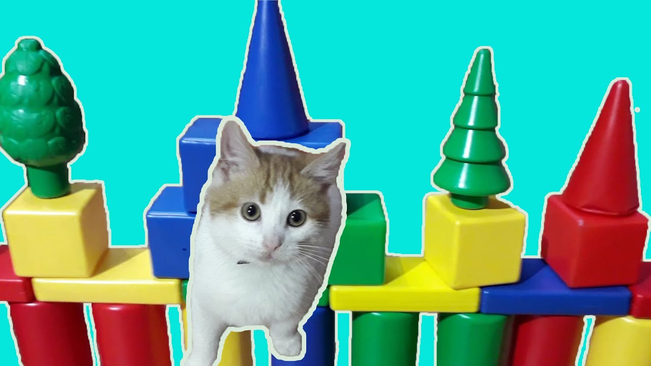 Пирамида из котов Пирамида из котов