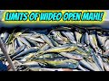 Pt. 2: MOST FULL SPEED DORADO FISHING on YouTube!