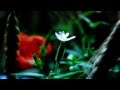Karen Olson - Elemental Journey - Promo
