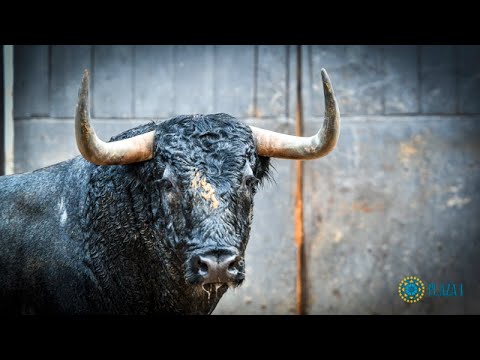 SORTEO | Corrida de toros 2 octubre, Adolfo Martín