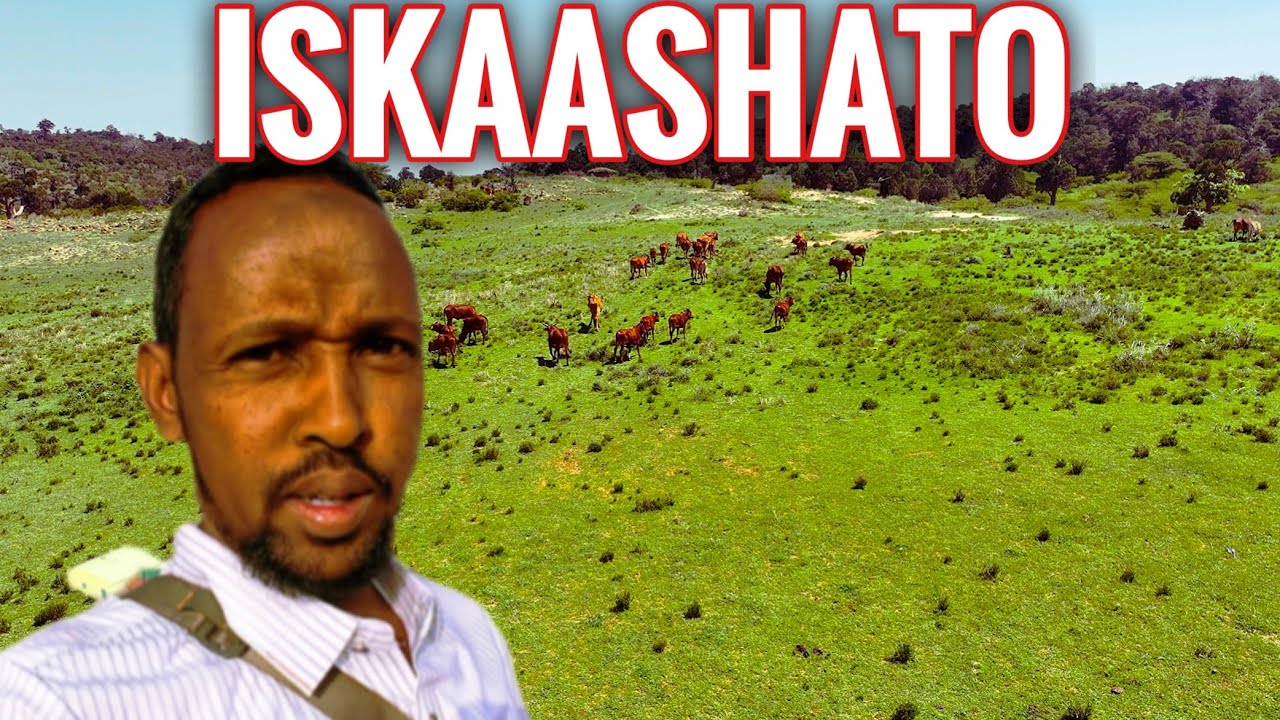 TUULO LAGU  DHISAY ISKAASHI (KAL WARAABE ) 