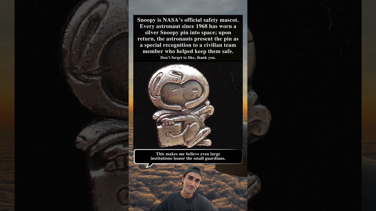 Snoopy NASA Mascot Every Astronaut Since 1968 Wears Silver Pin And Awards It After Return