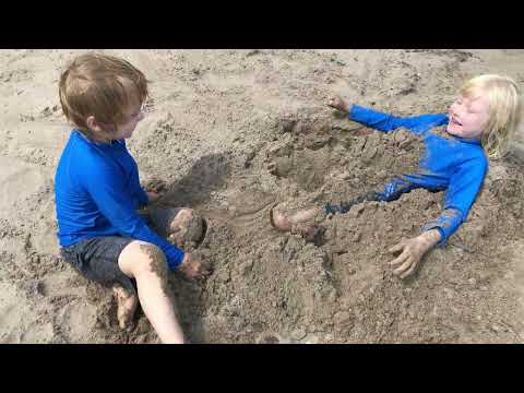 Video: Fort Myers paplūdimio ir Sanibel salos kelionės ataskaita