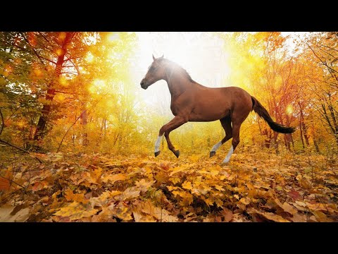 Безумно Вдохновляющая и