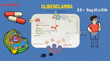 Qual a diferença entre glibenclamida e Metformina?