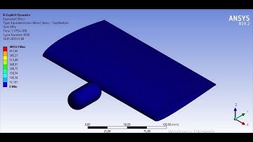 ANSYS AUTODYN SPH LAGRANGE BIRDSTRIKE SIMULATION, KUŞ ÇARPMA ANALİZİ