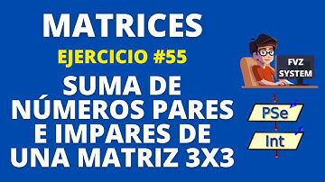Pseint-55-Suma de numeros pares e impares de una matriz 3x3 - FVZ SYSTEM #fvzsystem #fvz_system