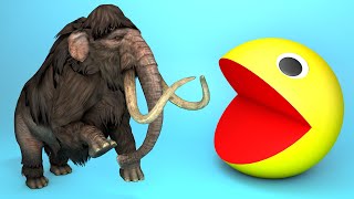 Elephant mammoth vs monster Pacman escape from maze | Mammoth life #22 compilation