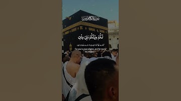 تلاوات خاشعة من القرآن الكريم سورة الكافرون سورة الإخلاص سورة الفلق سورة الناس #اكسبلور