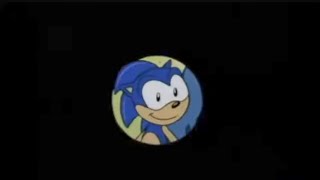 I HATE THAT HEDGEHOG!