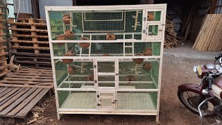 30 To 40 pair love birds cage