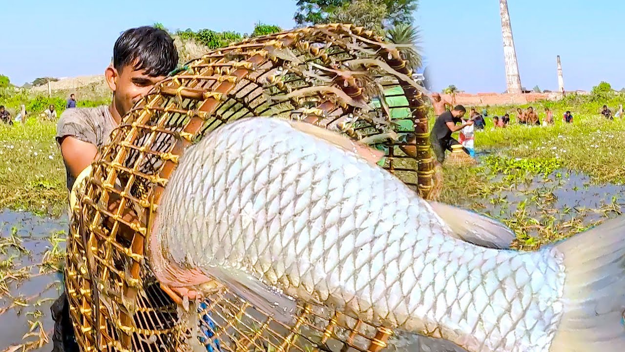Popular Fish Hunter Sujon Catch A Big Monster Grass Carp Fish By ...