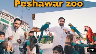 Peshawar zoo aw Mashomano Sara |Eisakhan Orakzai| 2022 new video