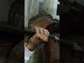 والله مانا سالي محمد عبد الوهاب ع كمان كارل هوفنر عزف ا عيسوي داغر اوتار الكمان 