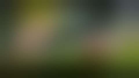 PANTHER online- ALL ATTRIBUES MAX