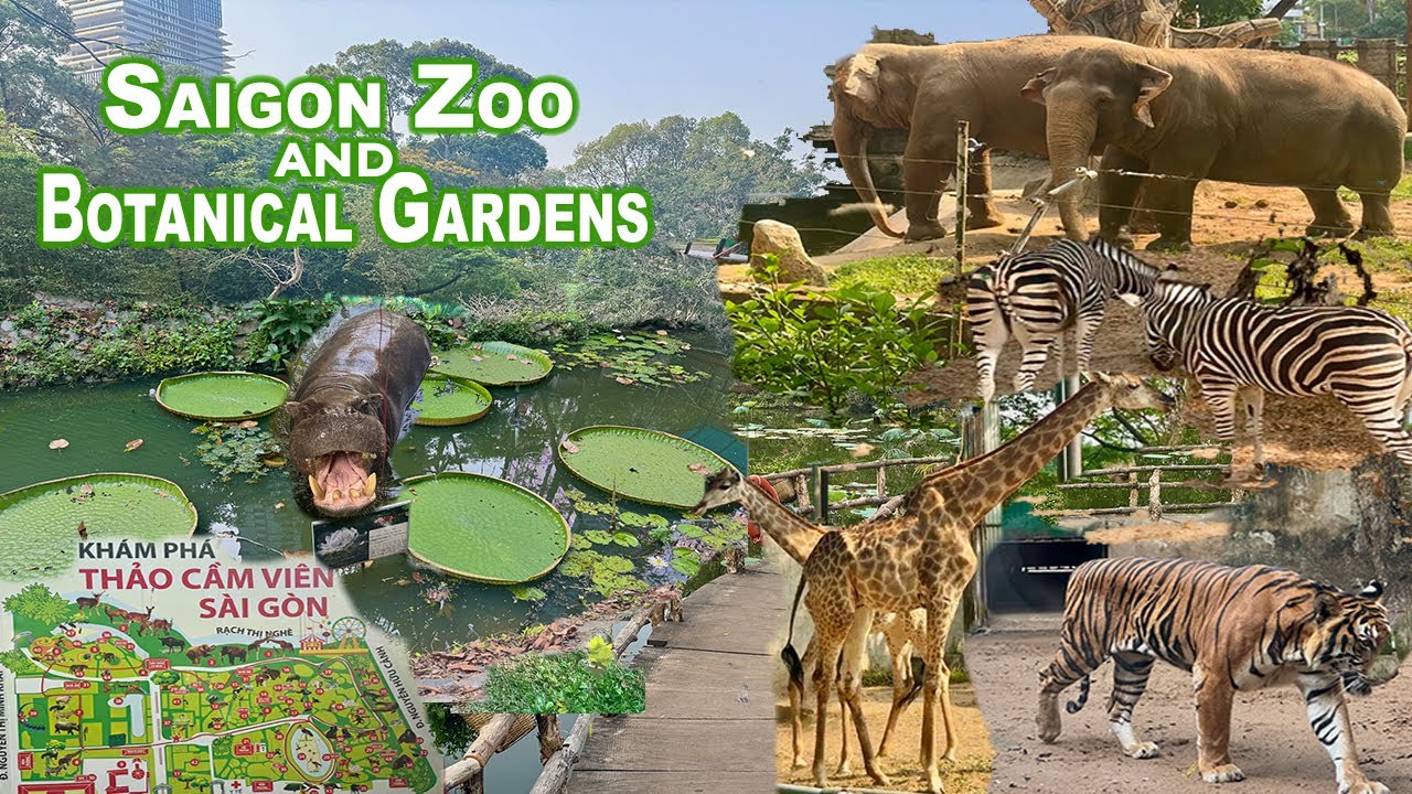 A Jungle in the Midlle of the City - Saigon Zoo and Botanical Gardens | HO CHI MINH CITY 🇻🇳