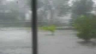 backyard during hurricane dolly