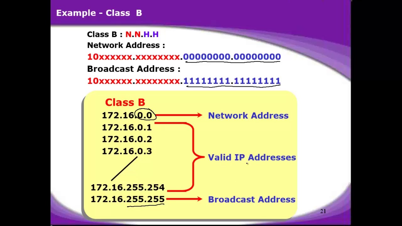 Сетевой адрес 0.0 0.0 это. <Address> пример. Валидные IP адреса. Широковещательный (Broadcast) адрес. Class b Network.