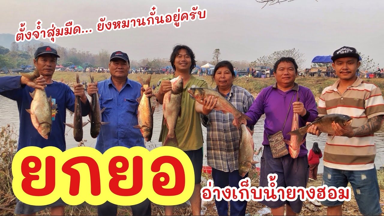 ยกยอ อ่างห้วยยางฮอม ►Fishing lifestyle Ep.714