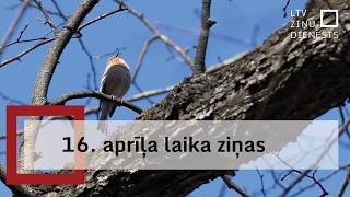 Ceturtdien Daudzviet Gaidāms Lietus