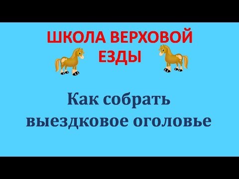 КАК СОБРАТЬ ВЫЕЗДКОВОЕ ОГОЛОВЬЕ