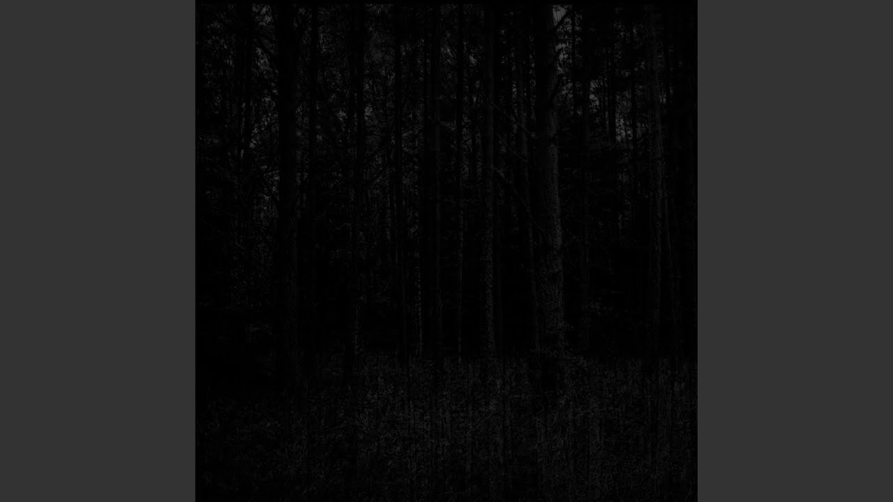Watch Dead Leaves on YouTube Watch Dead Leaves on YouTube