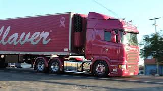 Rudimar Sheila Bellaver