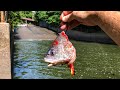 This MISTAKE Cost Me $1000! - MONSTROUS Bait Fishing!!!