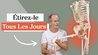 Ce muscle est tellement important - étirez-le tous les jours !