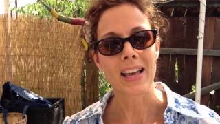 "How to choose a good CSA"