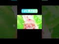 五等分の気持ち声真似してみた #五等分の花嫁 #声真似 #shorts