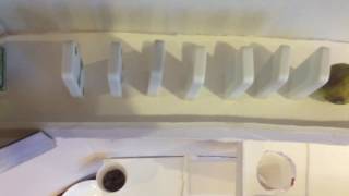 science project- Compound Machine