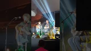 Mary Wallopers - Cod liver oil and the orange juice (live in Limerick)