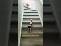 StaircaseConfusion #fypage #pet #cute #foryou #viral #animals #dog #doglife #chihuahua #shorts #fyp