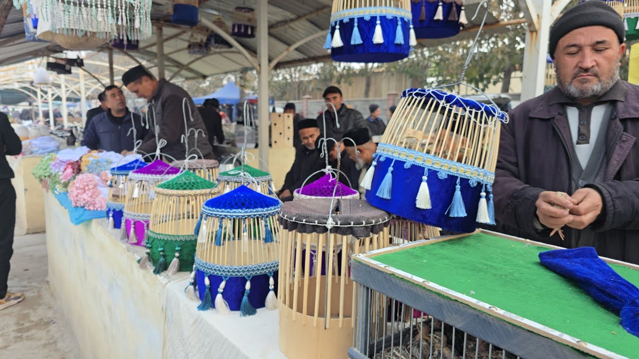 Shaxrixon Bedana (kanarekalar)