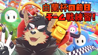 【Fall Guys #136】フォールガイズのチーム戦を楽しもう！スナイプ大歓迎！！【VTuber/ジュージュー】