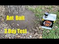 Testing Amdro Fire Ant Bait (What happens over 3 days?)