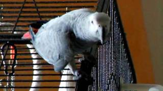 DSCF9167.AVI