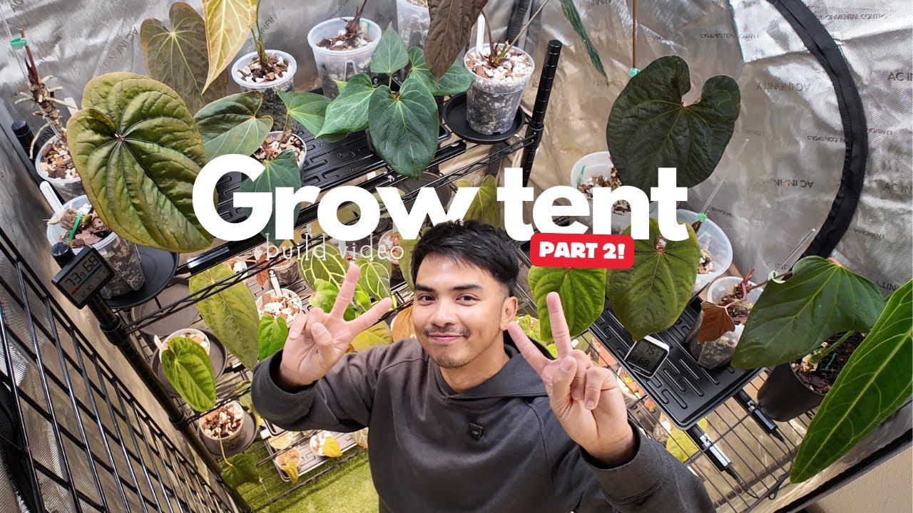 Grow Tent Build Part 2! 🌿 Filling It Up with Plants & Final Setup