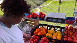 Living Out Loud With Roxy - Ocala Farmers Market  Ep. 3  Standing Idle in the Marketplace