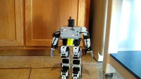 Modified Bioloid Walking