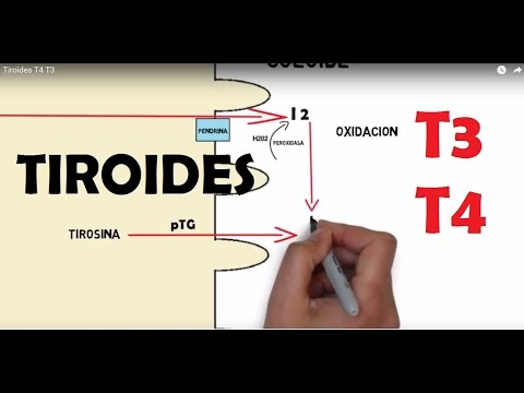 Tiroides T4 T3