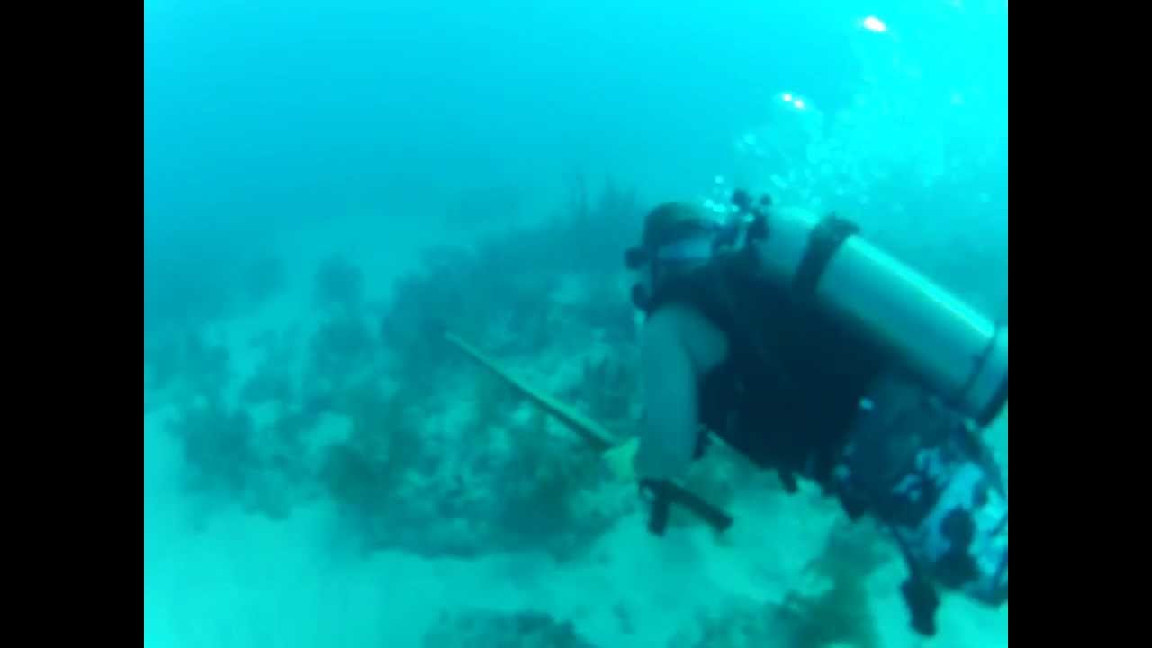 Scuba Diving Spear Fishing YouTube