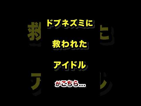 ドブネズミに救われたアイドル「重盛さと美」 #重盛さと美 #芸能人 #雑学