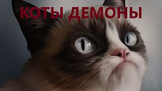 ТОП 5 КОТОВ-ДЕМОНОВ. НАПАДЕНИЕ КОТОВ НА ЛЮДЕЙ.