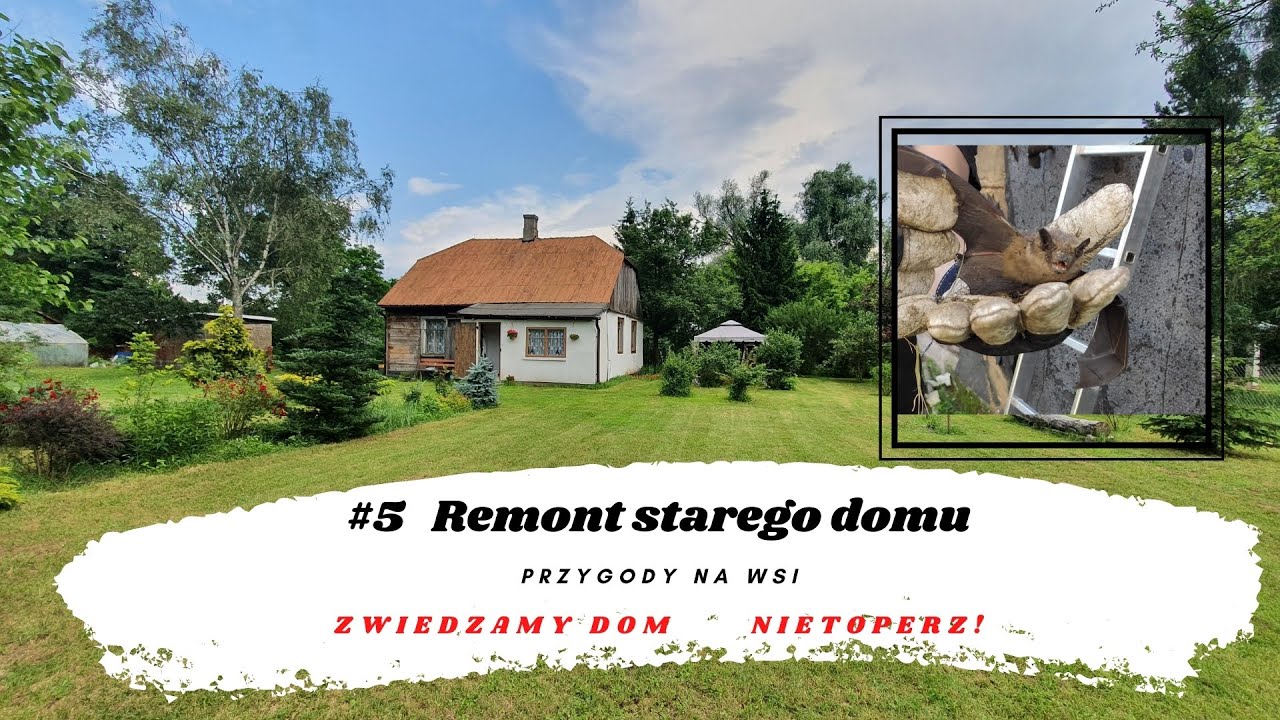 #5 vlog Old house renovation. We explore the rooms. We have bats. Country life. Well and sewage t...