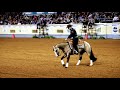 NRHA FUTURITY FINALS 2019