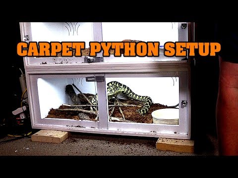 setting-up-a-carpet-python-cage